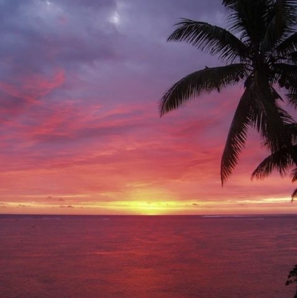 Meet your Posher, Grace - Picture 1 of 1